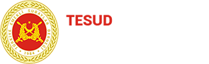 Tesud