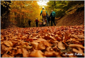 02 Kasım 2025 Pazar günü Şirinyazı Göleti Bölgesinde doğa yürüyüşü yapılacaktır.